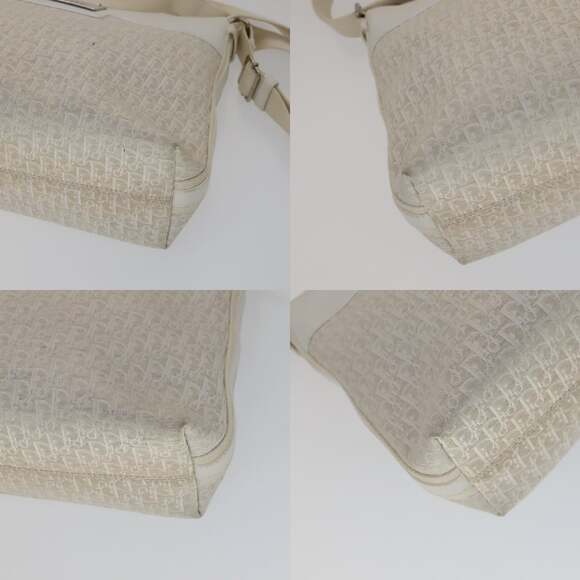 DIOR Trotter Canvas Shoulder Bag White Silver - Picture 10 of 12